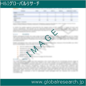 グローバルリサーチ調査レポートのイメージ